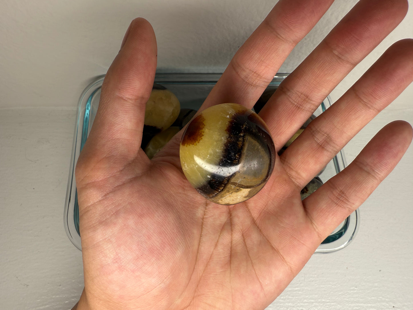 Septarian Nodule "Dragon Egg" Small Palmstone
