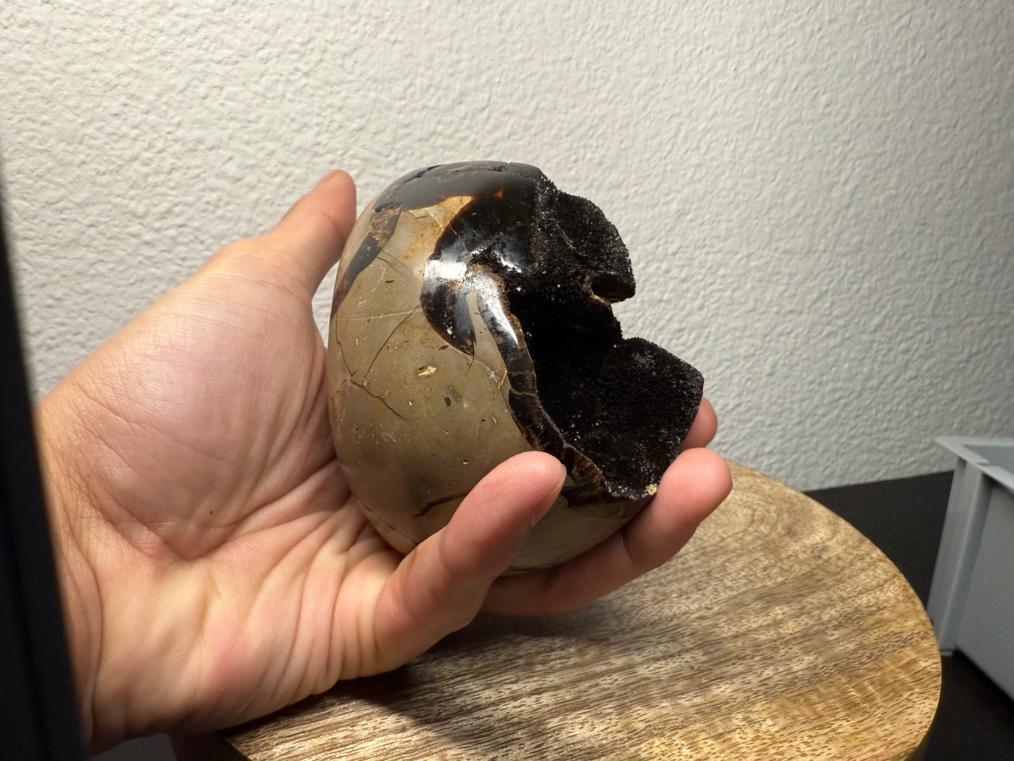 Septarian "Dragon Egg" Nodule (560g)