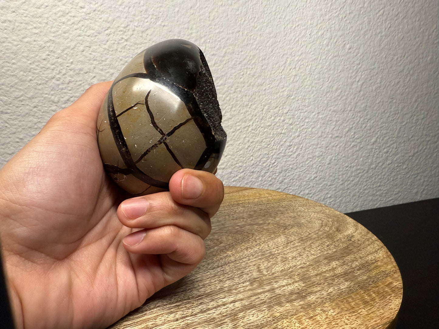 Septarian "Dragon Egg" Nodule (540g)