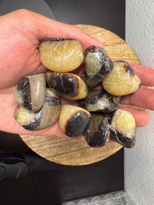 Tumbled Septarian Stone "Dragon Egg" *UV REACTIVE*