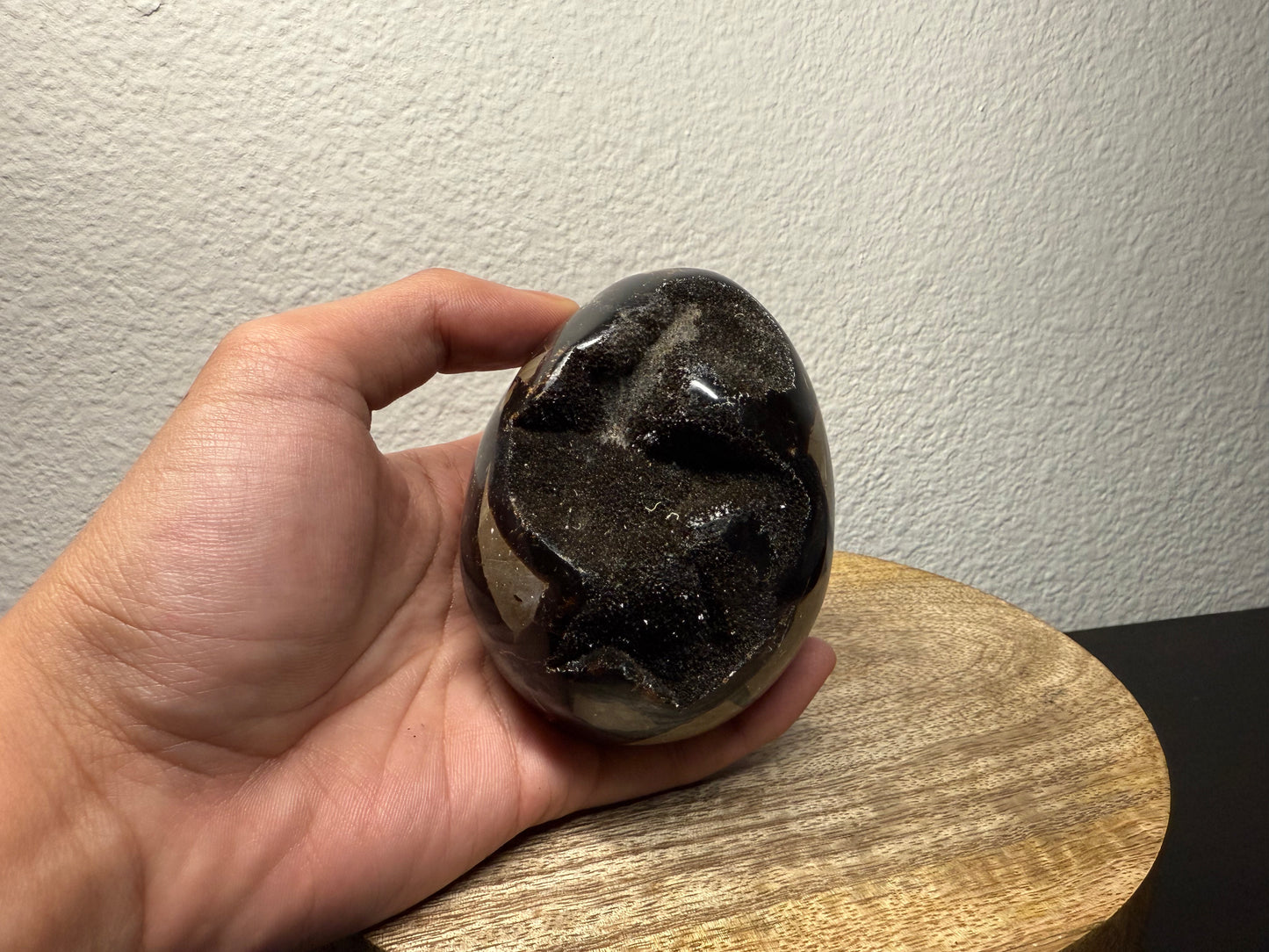 Septarian "Dragon Egg" Nodule (550g)