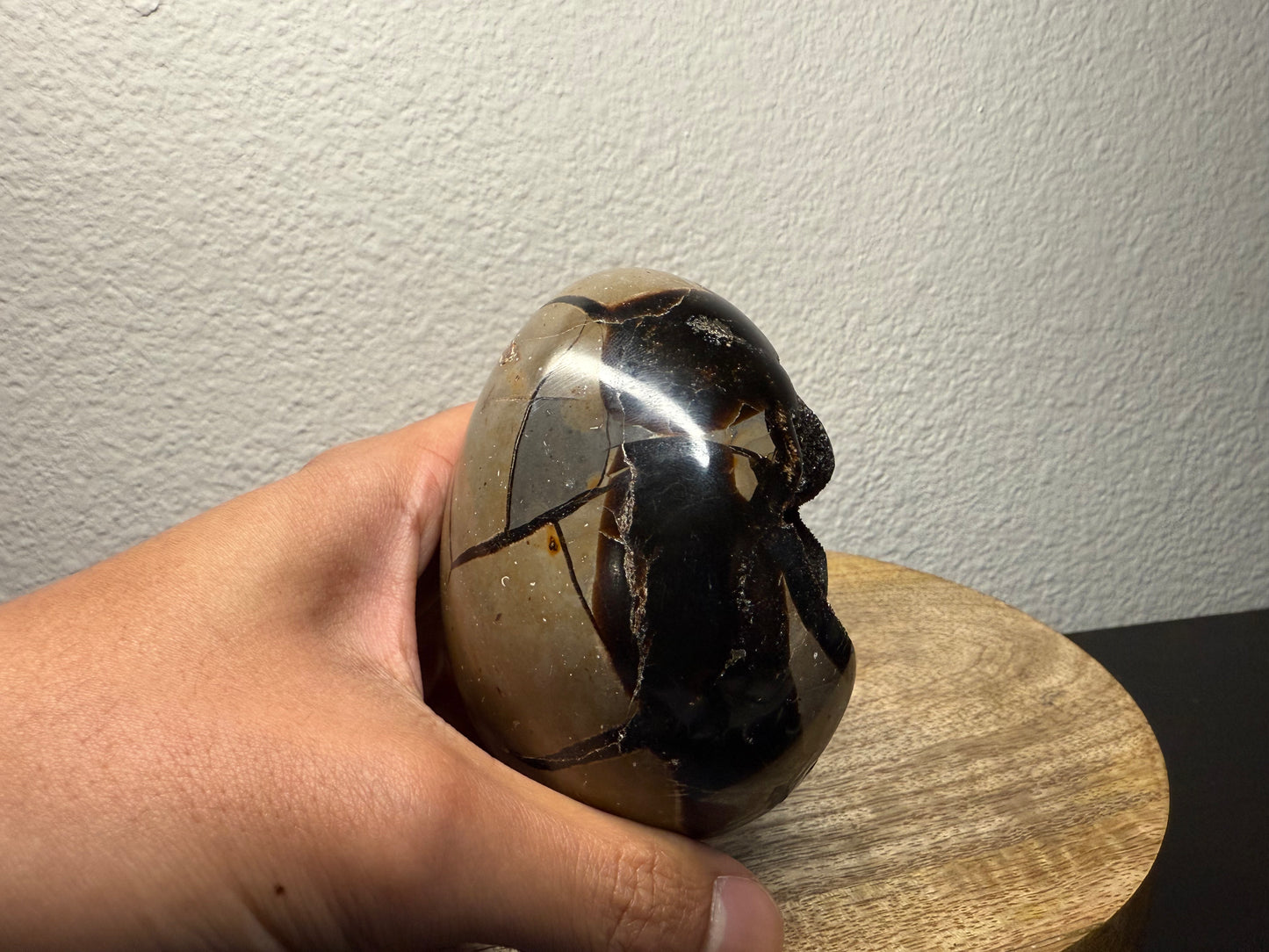 Septarian "Dragon Egg" Nodule (550g)