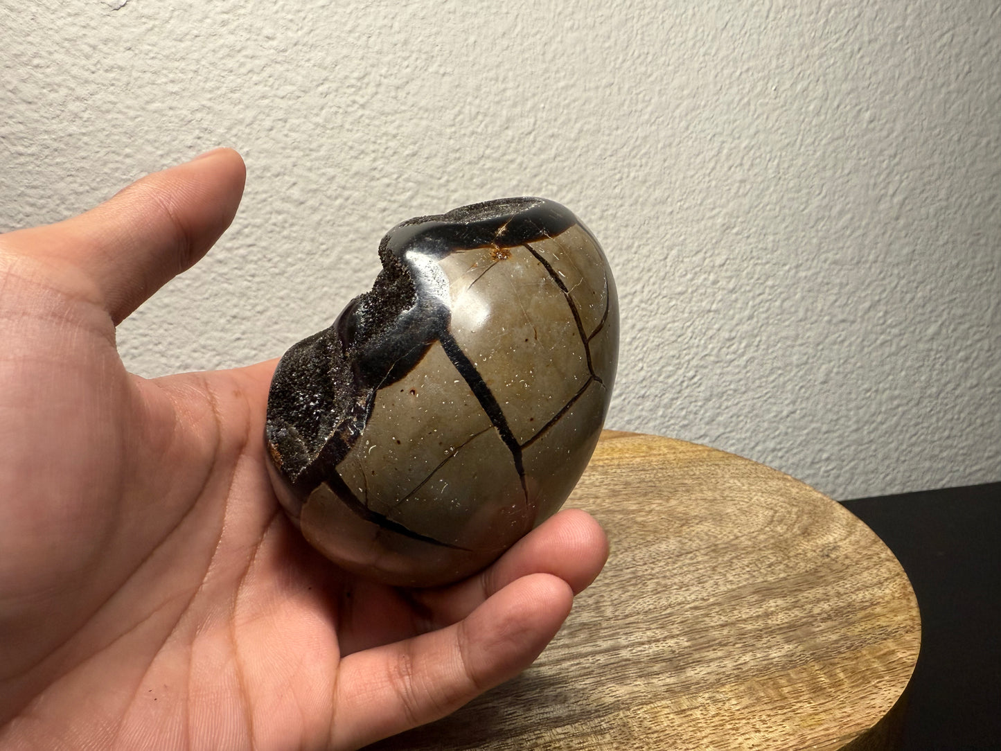 Septarian "Dragon Egg" Nodule (550g)