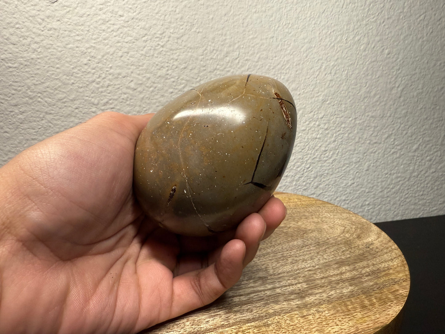 Septarian "Dragon Egg" Nodule (550g)