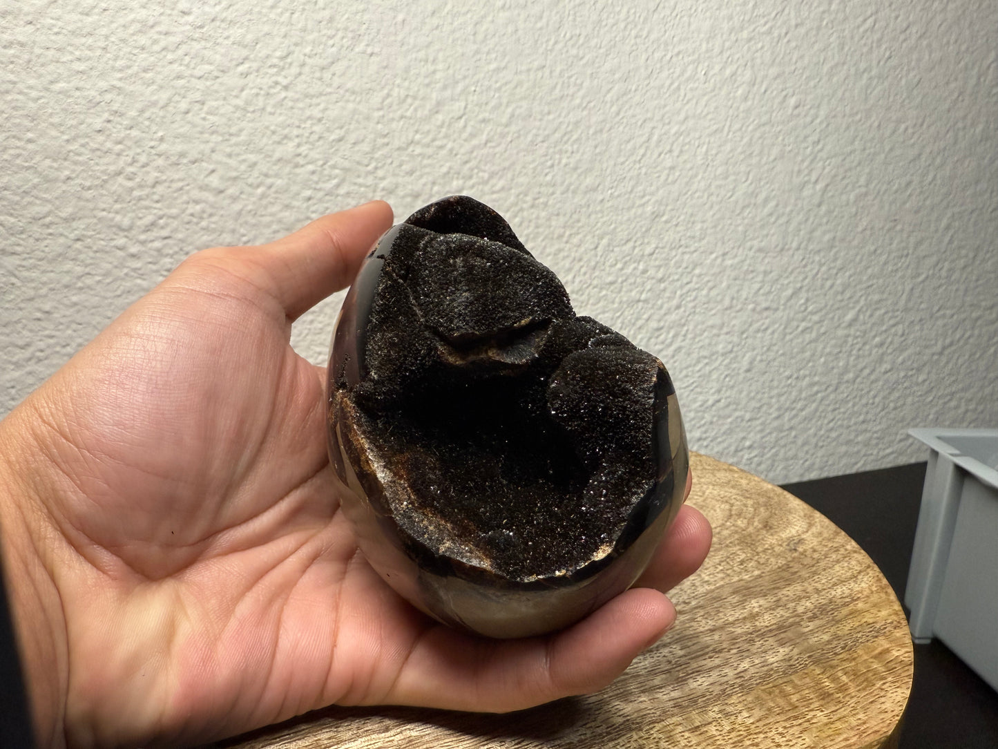 Septarian "Dragon Egg" Nodule (560g)