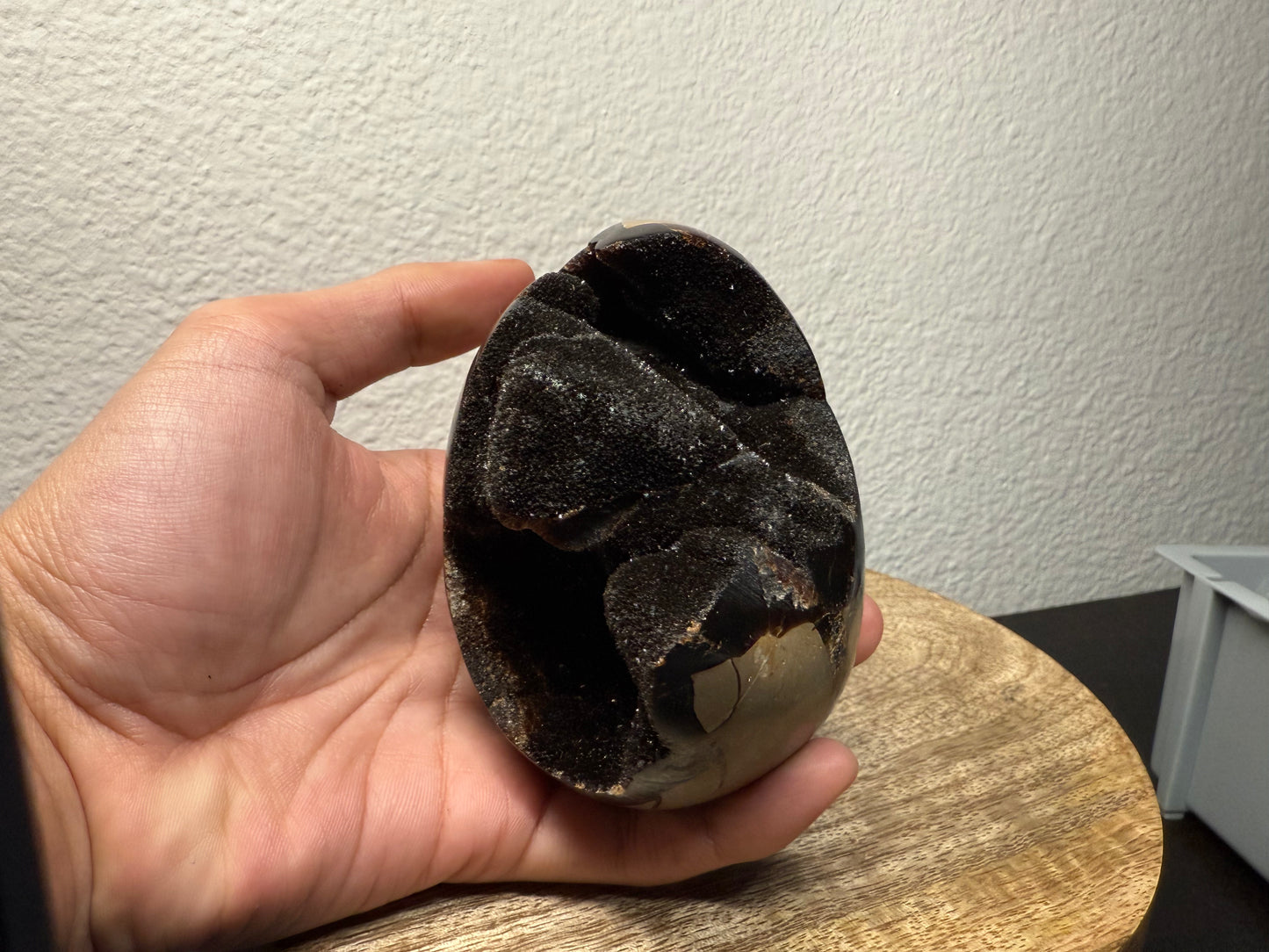 Septarian "Dragon Egg" Nodule (560g)