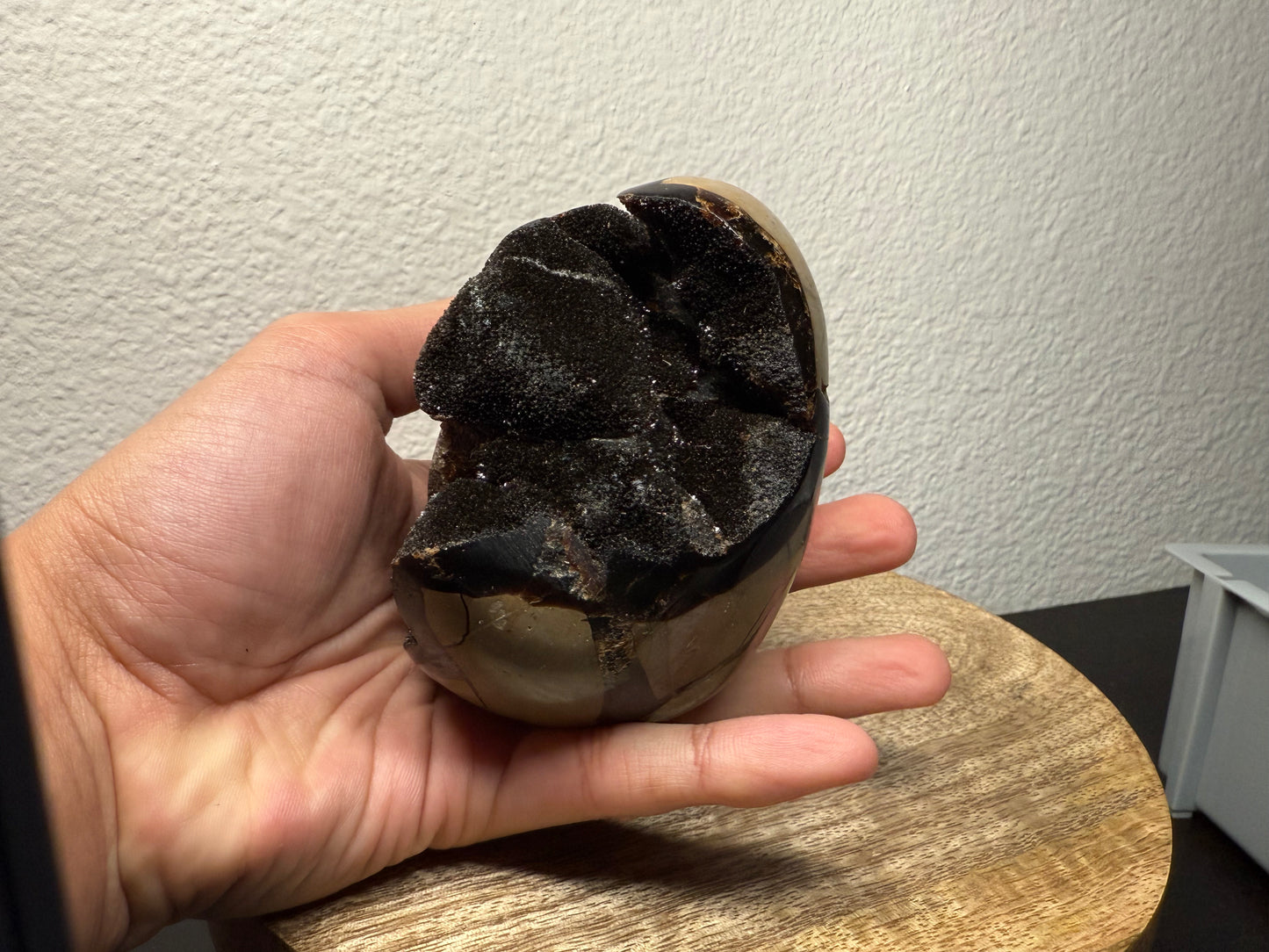 Septarian "Dragon Egg" Nodule (560g)