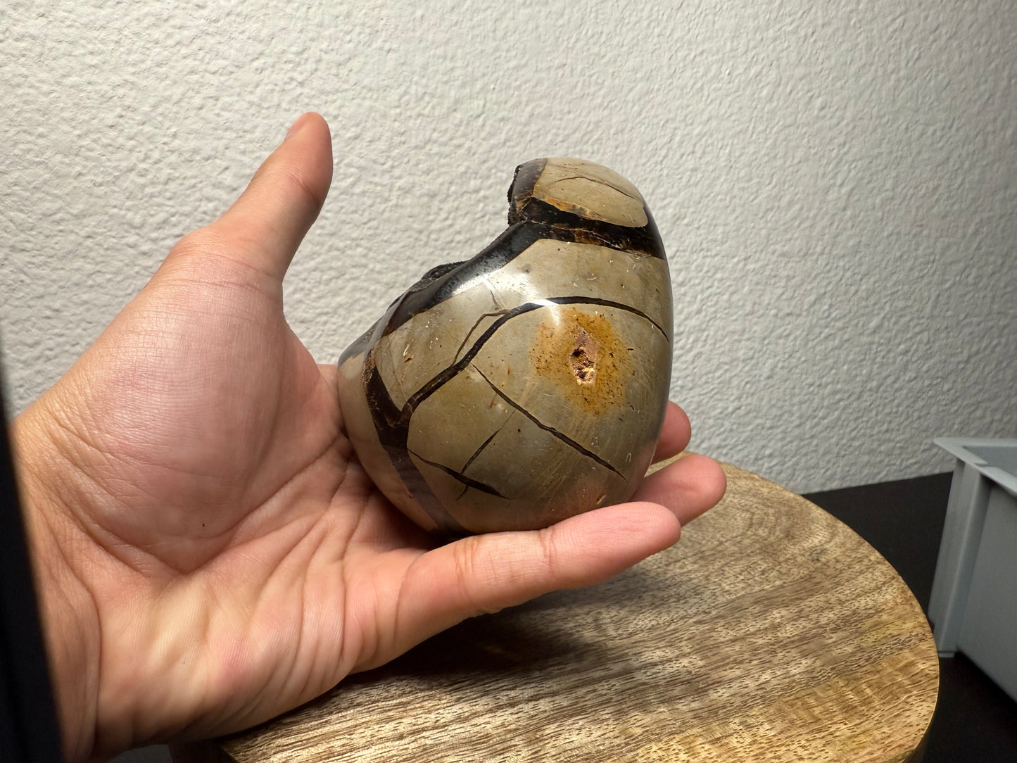 Septarian "Dragon Egg" Nodule (560g)