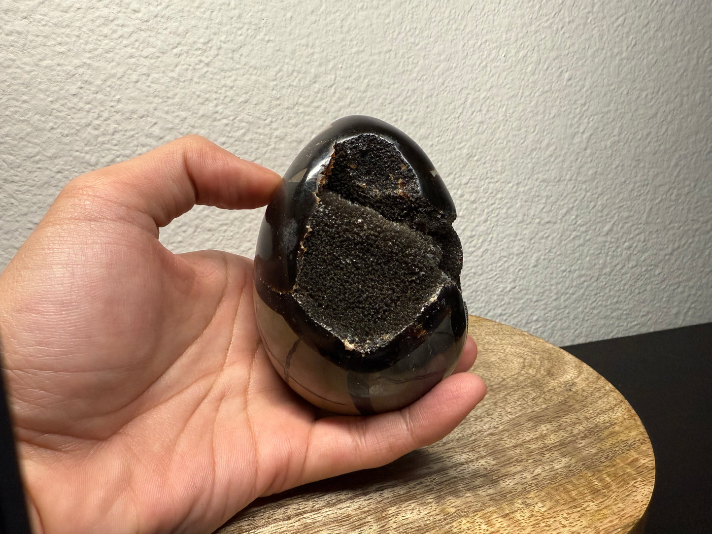 Septarian "Dragon Egg" Nodule (540g)