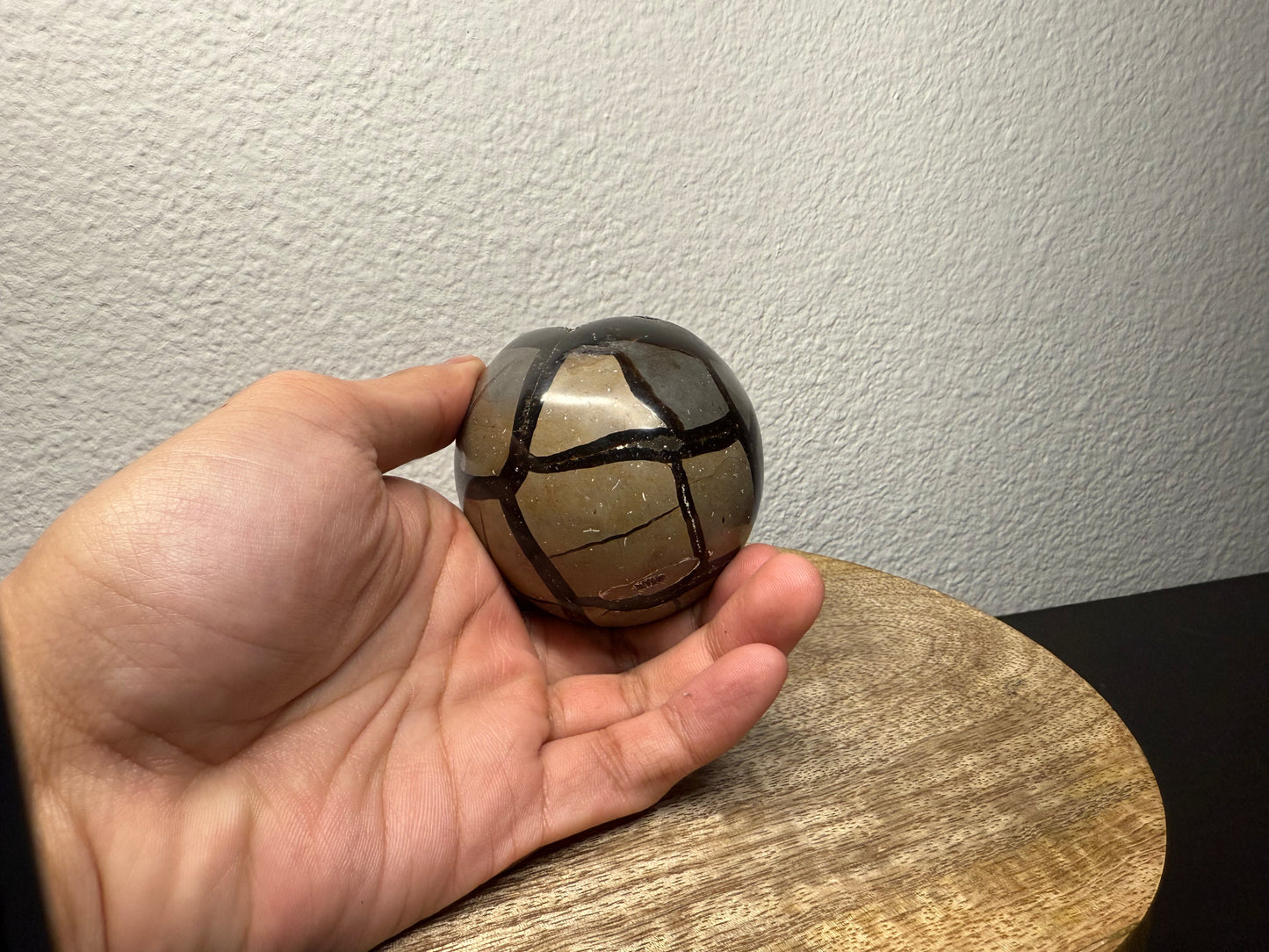 Septarian "Dragon Egg" Nodule (540g)