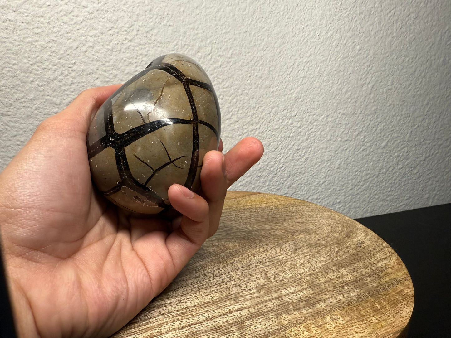 Septarian "Dragon Egg" Nodule (540g)